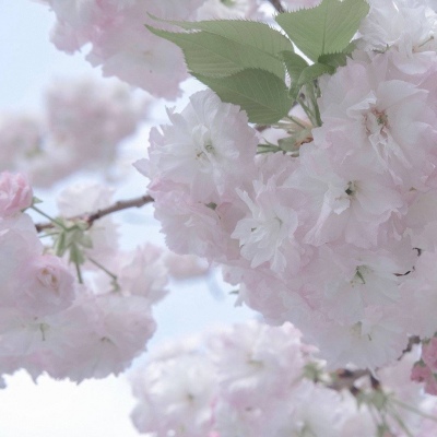 平顶山FurryQQ群介绍